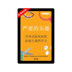 e-book cover of Serious Fun (Mandarin)